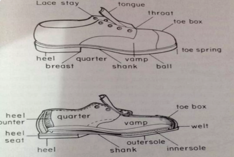 rxsurgicals-parts-of-a-shoe