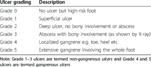 Ulcer grading image